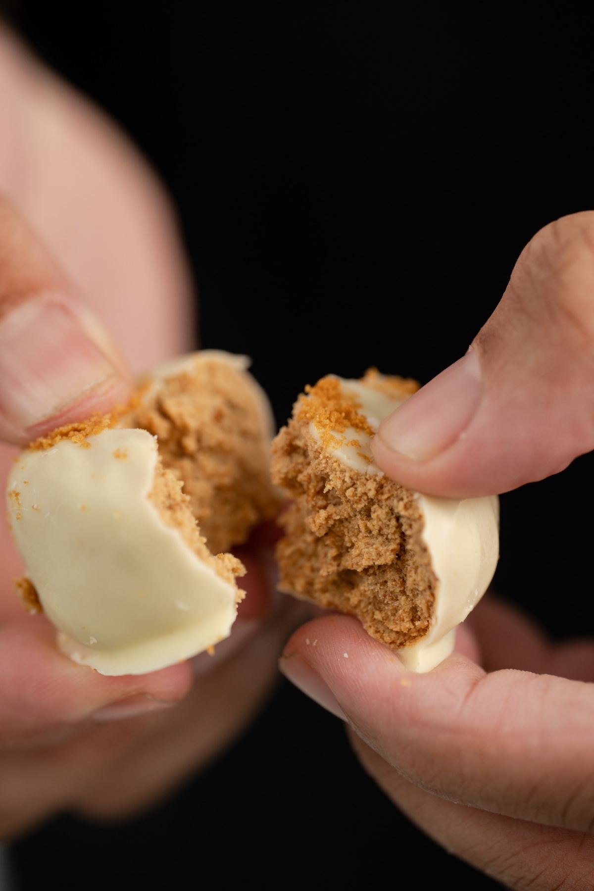 Caramelised Biscuit Protein Balls: The Fresh Way to Beat the Craving